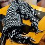 White House/Black Market  Shawl. Image 2