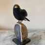 Hand-Carved Gemstone European Blackbird on Agate Geode Base Image 9