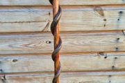 Hand-Carved Wooden Snake Walking Stick / Serpent Cane