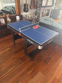 pool table & table tennis