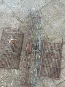 3 Rodent Traps/ Cages