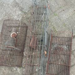 3 Rodent Traps/ Cages
