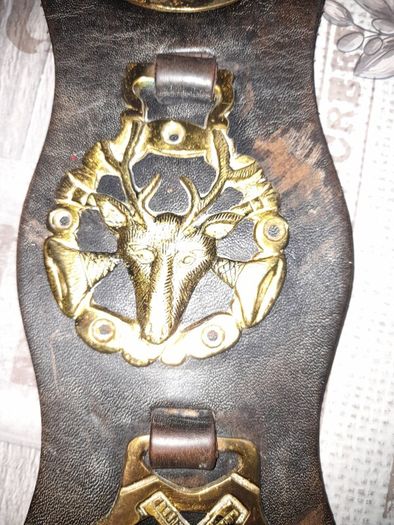 Horse Brass Martingale Decorative Brass Plaques Mounted on a Leather Strap