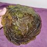 Vintage Indiana Glass Candy Dish Loganberry Berries & Leaves Triangular Green Image 6