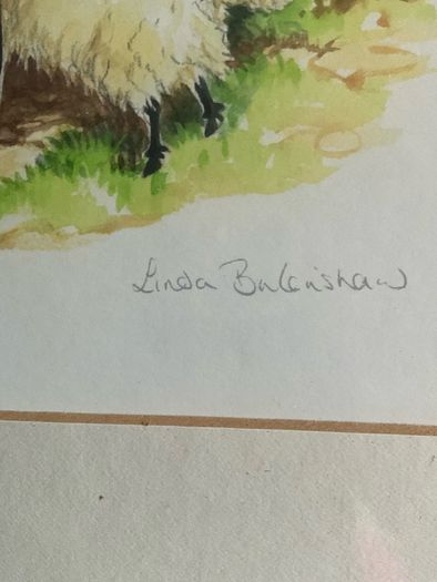 'Cat Nap' & Sheep Driving' by Linda Birkinshaw