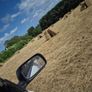 hay Image 2