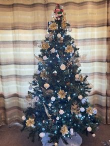 tree