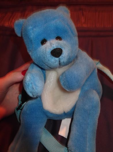 Blue Bear small bag