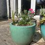 Large/Medium Glazed Earthenware Egg Flower Pot- 3 available Image 3