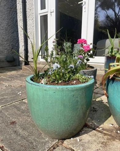 Large/Medium Glazed Earthenware Egg Flower Pot- 3 available