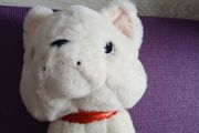 Toybox cream plush toy bulldog teddy.