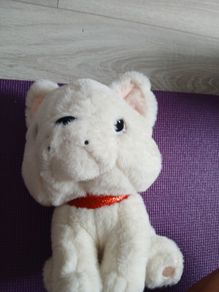 Toybox cream plush toy bulldog teddy.