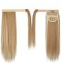 Blonde with highlights ponytail Image 3