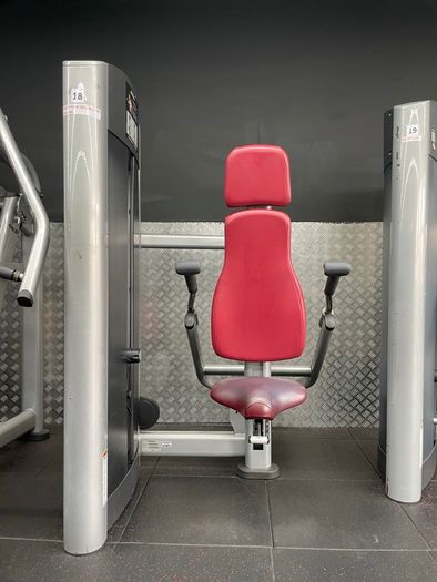 Tricep Dip and Bicep Curl Machine