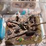 Flames of War, German Troops set Image 8