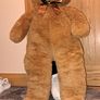 teddy Image 2
