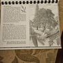 29 ink drawings of various tree species by artist S. R. Badmin. It's in binder form with 29 description of each of the  trees. See photos for same. Image 3