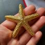 Textured Gold Tone Starfish Brooch - Large Nautical Sea Star Pin - Gold Tone Marine Coastal Jewelry Image 5