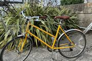 Tokyo Bike