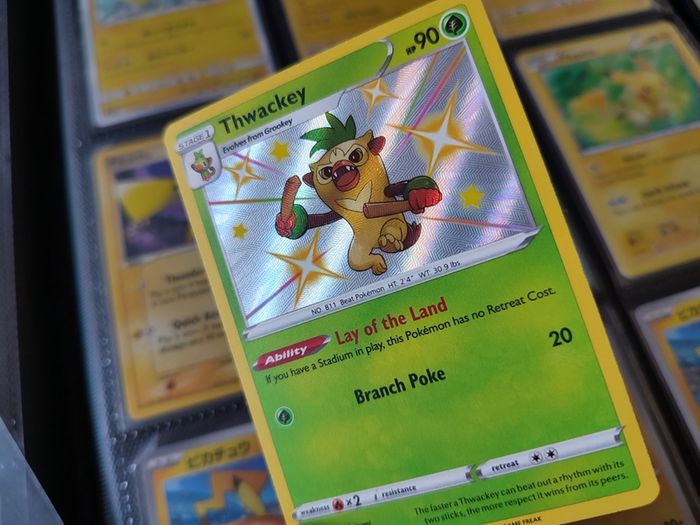 Thwackey ! Baby Shiny ! Shiny Rare ! from Shining Fates Set ! 2019 ! Pokemon Card !