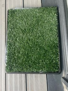 Puppy training grass patch