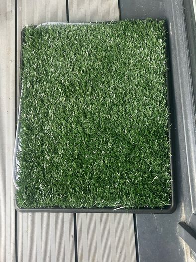 Puppy training grass patch
