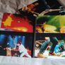 Pearl Jam Live at the Garden Dvd Image 4