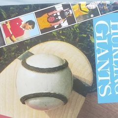 Hurling Gaints