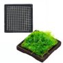 ISTA Water Plant Cultivation Ceramic 6,5x6,5cm square DD05 Image 3