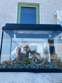 fish tank