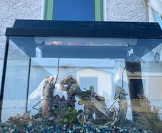 fish tank