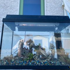fish tank