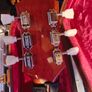 Epiphone Joe Bonamassa 1955 Les Paul Standard Copper Iridescent Limited Edition Image 6
