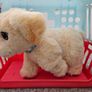 Little Live Pet Image 4