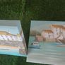 Beautiful canvas paintings Image 2