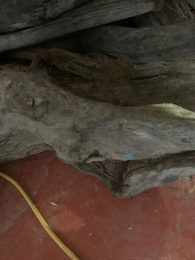 Substantial Collection of Old Bog Oak. Delivery by van can be arranged.