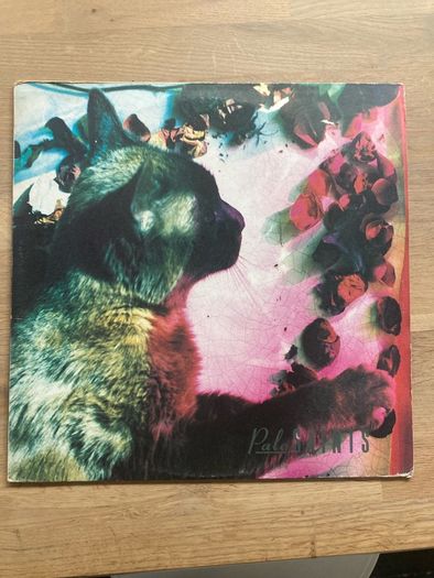 Pale Saints Comfort of Maddness 1990 pressing