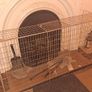 fireguard Image 2