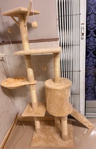 Cat Tree