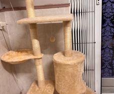 Cat Tree