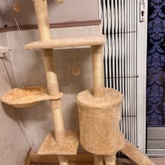 Cat Tree