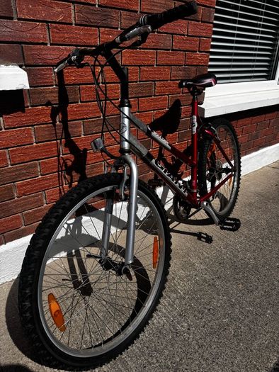 Giant Bike