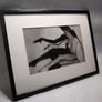 Framed black & white shadow play picture Image 2