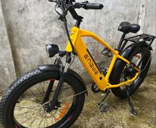 electric bike