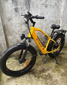 electric bike