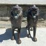 Superb Pair of 19th Century Chinese Antique Bronze Lions Image 2