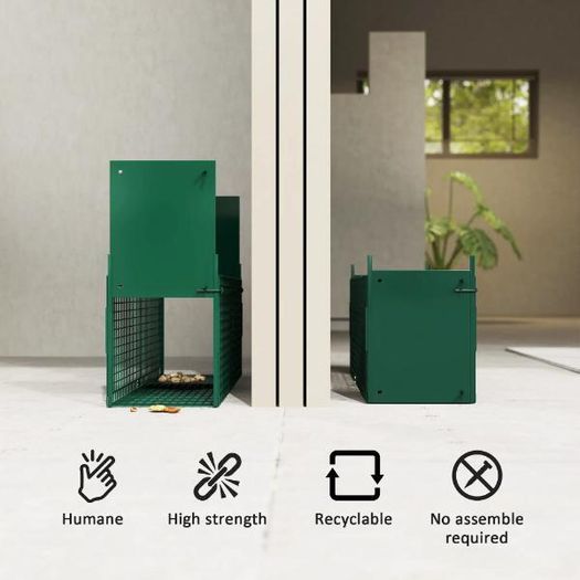 Humane Rat & Rodent Live Trap