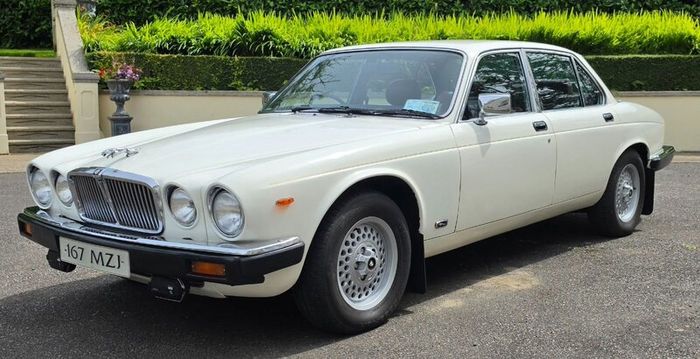 Jaguar XJ 1980 (Perfect wedding car)