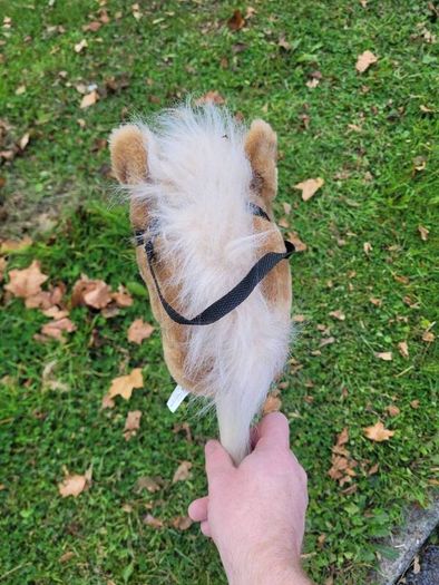 stick horse