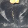 ladies jacket Image 4